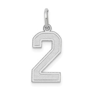14k White Gold, Jersey Collection, Medium Number 2 Pendant